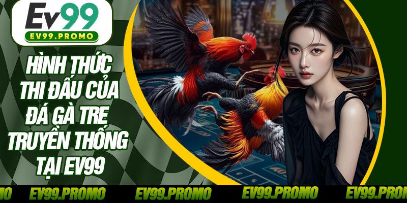 Hình Thức Thi Đấu Của Đá Gà Tre Truyền Thống Tại EV99