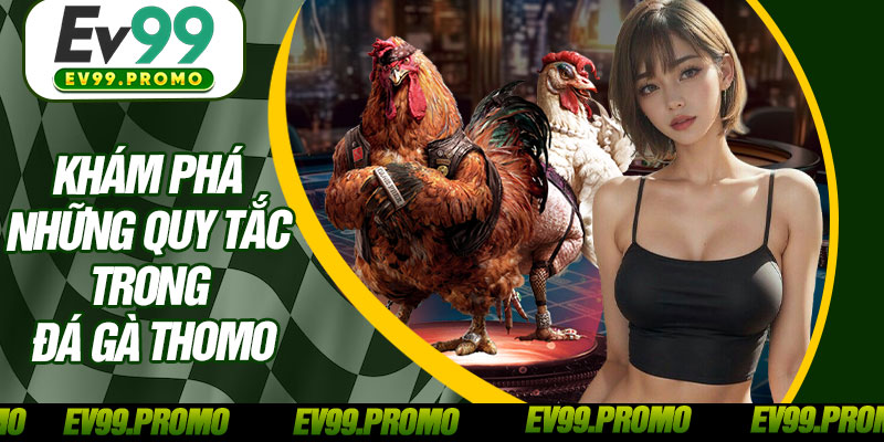 Khám Phá Những Quy Tắc Trong Đá Gà Thomo