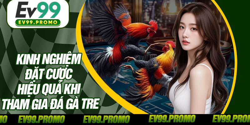 Kinh Nghiệm Đặt Cược Hiệu Quả Khi Tham Gia Đá Gà Tre