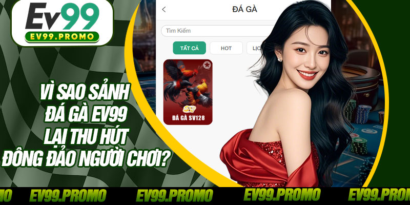 Vì Sao Sảnh Đá Gà EV99 Lại Thu Hút Đông Đảo Người Chơi?