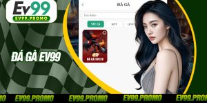 Đá Gà EV99